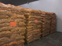 WhatsApp Image 2020-01-15 at 18.33.20 (8)