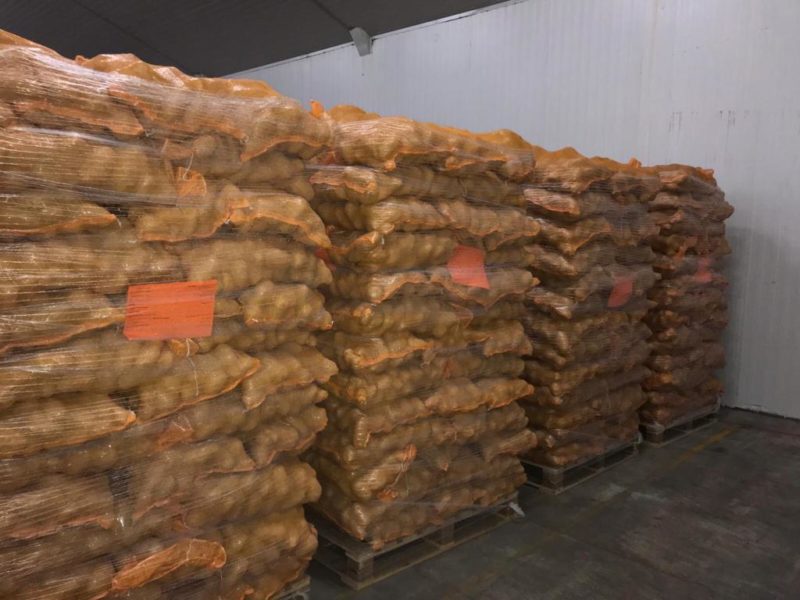 WhatsApp Image 2020-01-15 at 18.33.20 (8)