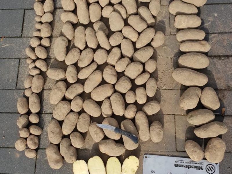 WhatsApp Image 2020-01-15 at 18.33.20