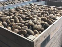 WhatsApp Image 2020-01-15 at 18.47.50