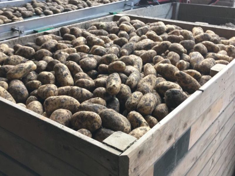 WhatsApp Image 2020-01-15 at 18.47.50