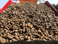 WhatsApp Image 2020-01-15 at 18.47.51 (10)