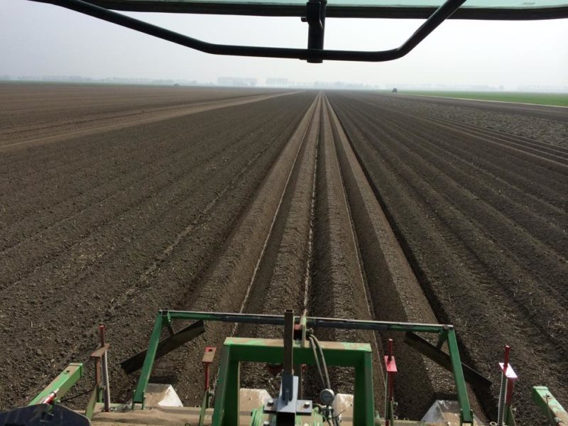 WhatsApp Image 2020-01-16 at 19.12.19 (10)