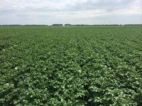 WhatsApp Image 2020-01-16 at 19.12.19 (11)