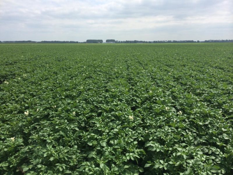 WhatsApp Image 2020-01-16 at 19.12.19 (11)