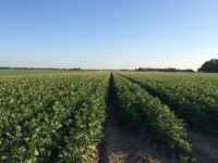 WhatsApp Image 2020-01-16 at 19.12.19 (12)