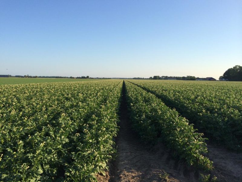 WhatsApp Image 2020-01-16 at 19.12.19 (12)