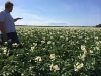 WhatsApp Image 2020-01-16 at 19.12.19 (13)