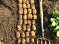 WhatsApp Image 2020-01-16 at 19.12.19 (14)