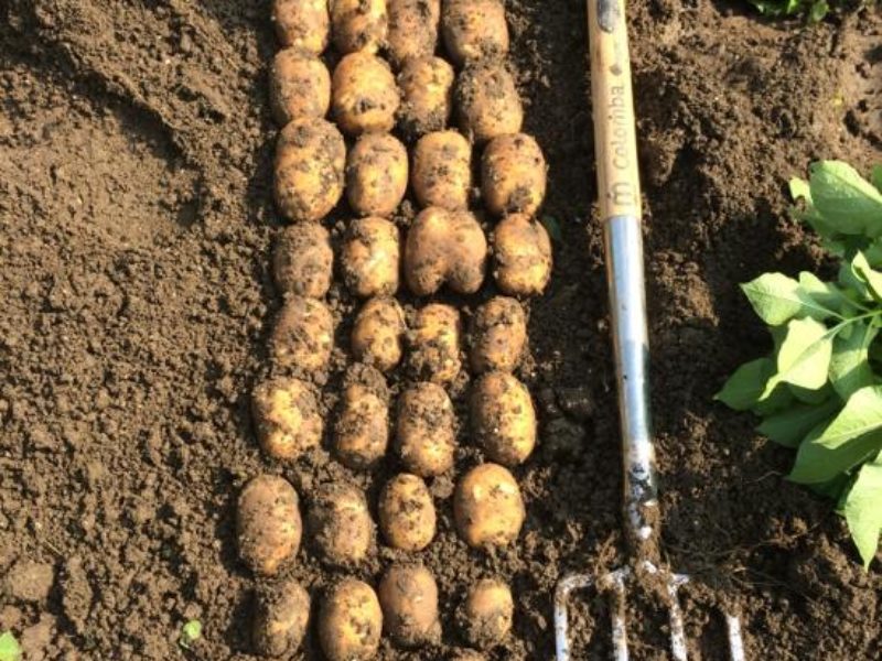 WhatsApp Image 2020-01-16 at 19.12.19 (14)