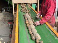 WhatsApp Image 2020-01-16 at 19.12.19 (15)