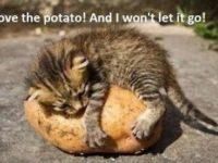 WhatsApp Image 2020-01-16 at 19.12.19 (17)