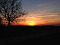 WhatsApp Image 2020-01-16 at 19.12.19 (22)