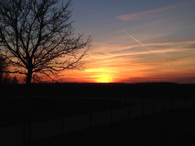 WhatsApp Image 2020-01-16 at 19.12.19 (22)