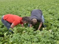 WhatsApp Image 2020-01-16 at 19.12.19 (29)