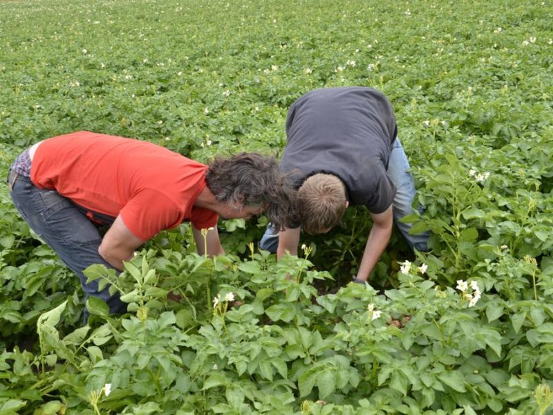 WhatsApp Image 2020-01-16 at 19.12.19 (29)