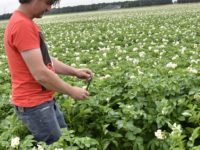 WhatsApp Image 2020-01-16 at 19.28.12 (1)