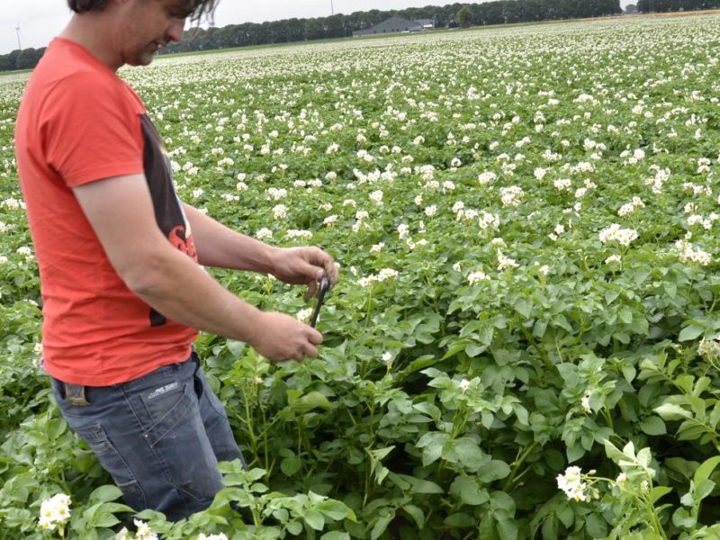 WhatsApp Image 2020-01-16 at 19.28.12 (1)