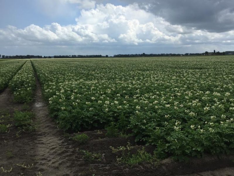 WhatsApp Image 2020-01-16 at 19.28.12 (11)