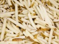 WhatsApp Image 2020-01-16 at 19.28.12 (13)