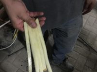 WhatsApp Image 2020-01-16 at 19.28.12 (16)