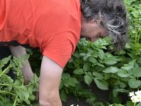 WhatsApp Image 2020-01-16 at 19.28.12