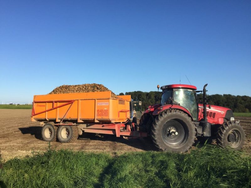 WhatsApp Image 2020-01-16 at 19.28.12 (3)