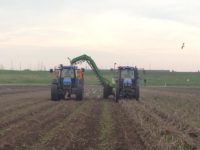 WhatsApp Image 2020-01-16 at 19.28.12 (4)