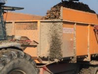 WhatsApp Image 2020-01-16 at 19.28.12 (6)