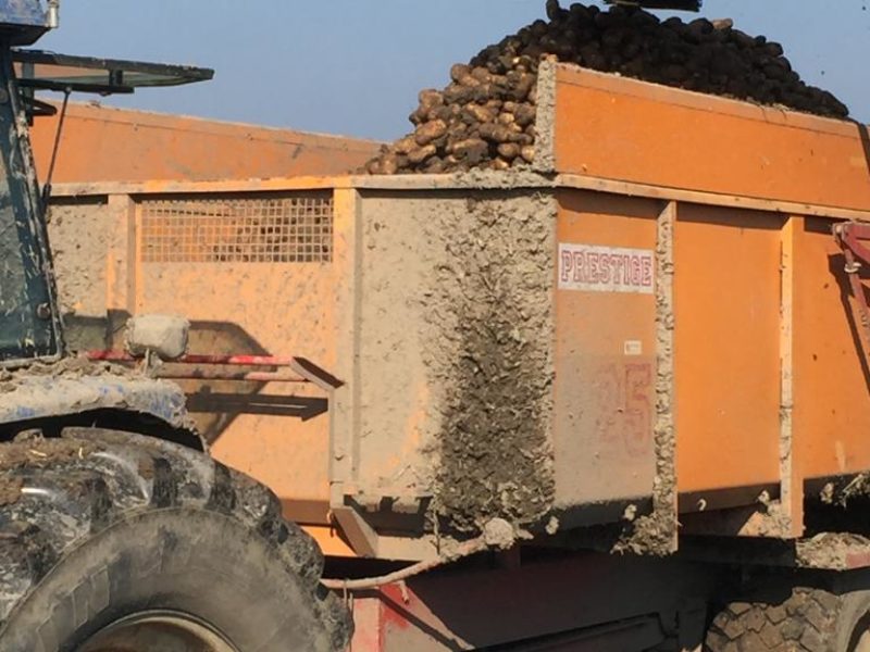 WhatsApp Image 2020-01-16 at 19.28.12 (6)