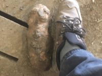 WhatsApp Image 2020-01-16 at 19.28.12 (9)