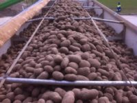 WhatsApp Image 2020-01-16 at 19.28.13 (5)