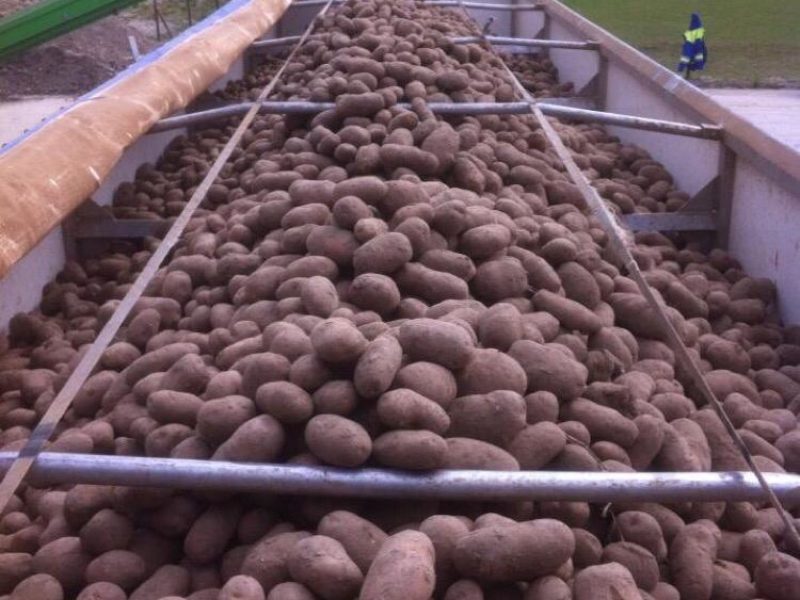 WhatsApp Image 2020-01-16 at 19.28.13 (5)