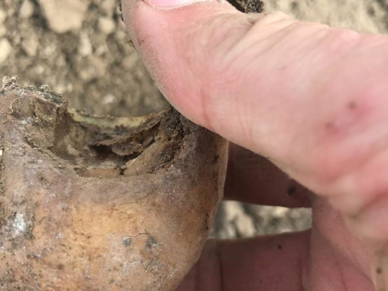 WhatsApp Image 2020-01-16 at 19.37.21 (5)