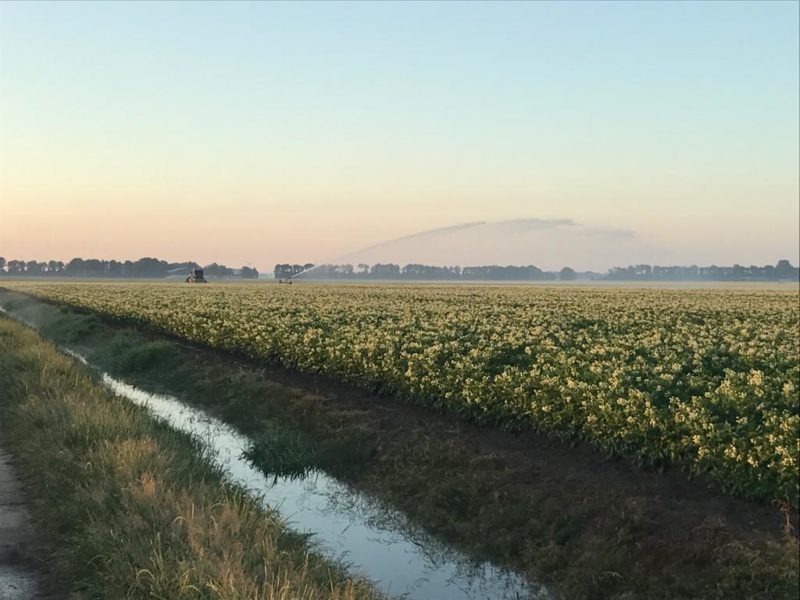 WhatsApp Image 2020-01-16 at 19.37.21 (7)