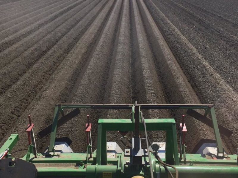 WhatsApp Image 2020-01-16 at 19.37.21