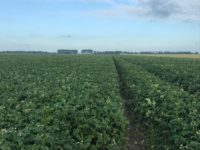 WhatsApp Image 2020-01-16 at 19.37.22 (1)