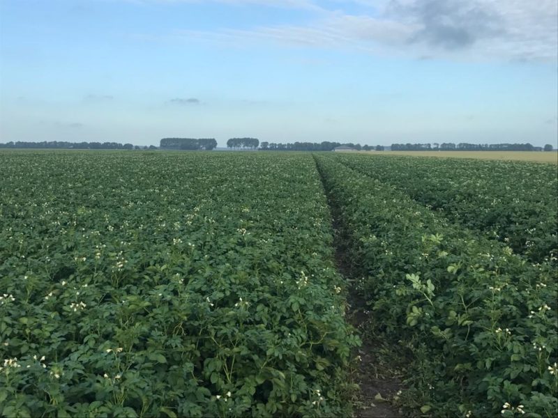 WhatsApp Image 2020-01-16 at 19.37.22 (1)