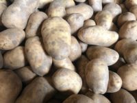 WhatsApp Image 2020-01-16 at 19.37.22 (2)