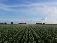 WhatsApp Image 2020-01-16 at 19.37.22