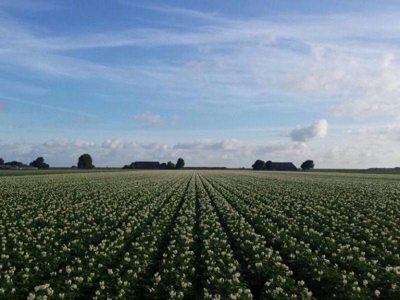 WhatsApp Image 2020-01-16 at 19.37.22